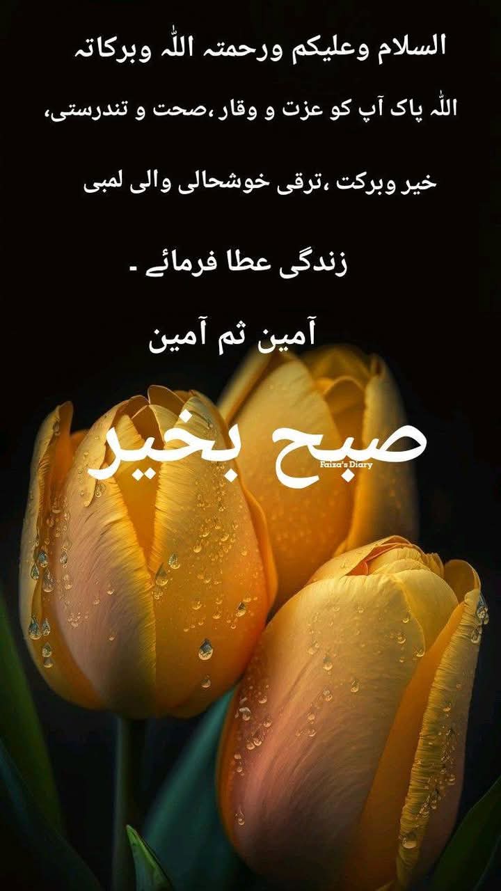 Adeeba Ali Sial